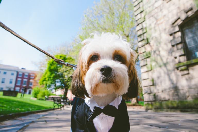 Simone and Marcus’ wedding at The Drop Forge