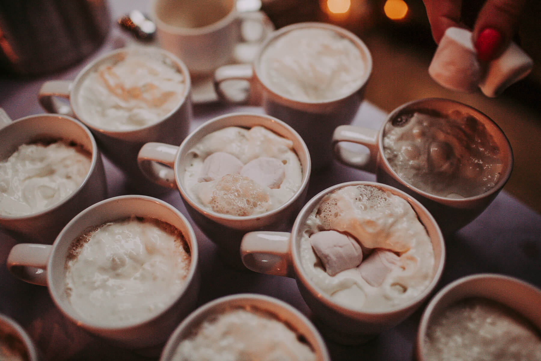 Danielle & Craig | The Normans Wedding 120