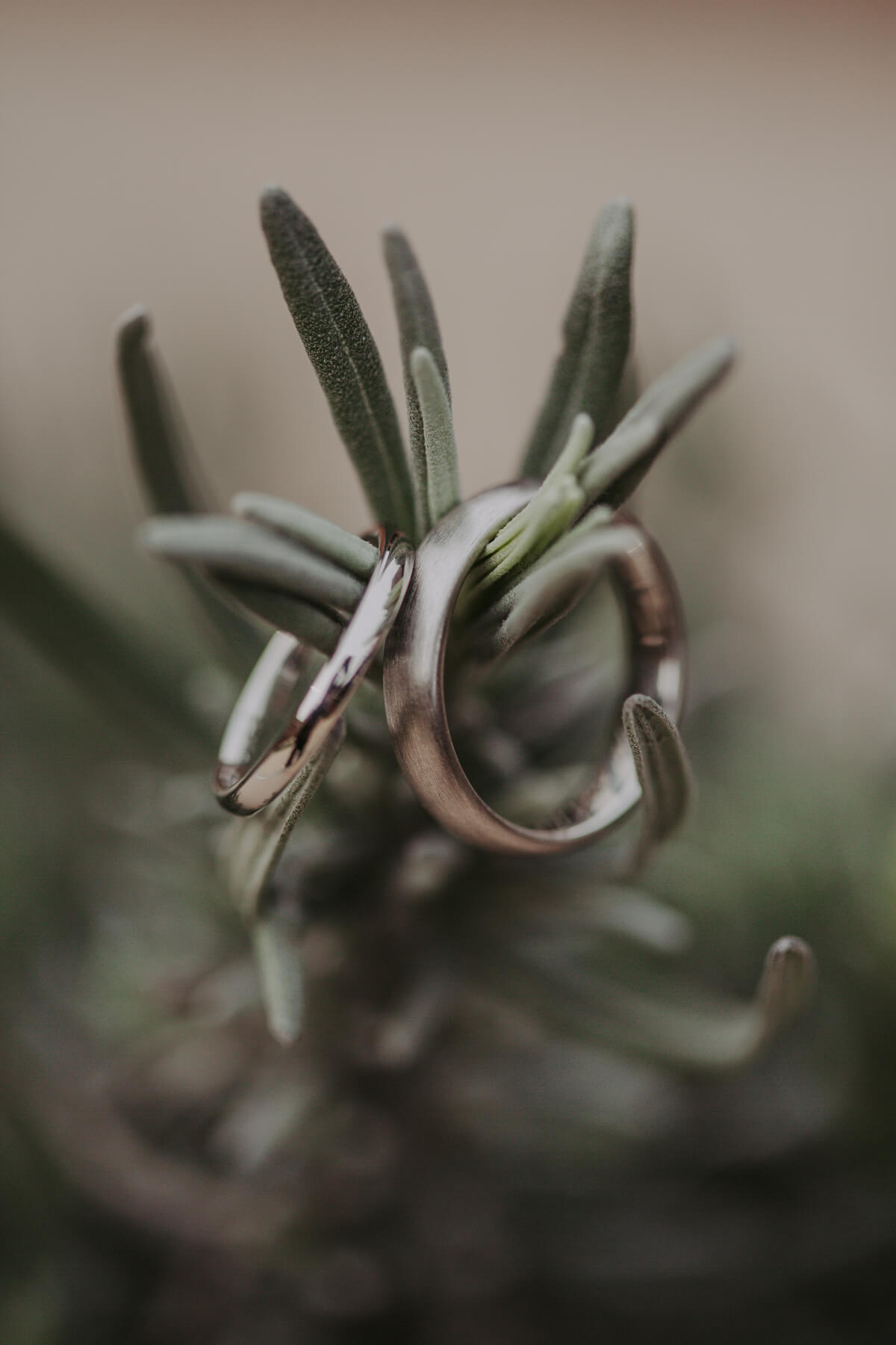 Danielle & Craig | The Normans Wedding 33