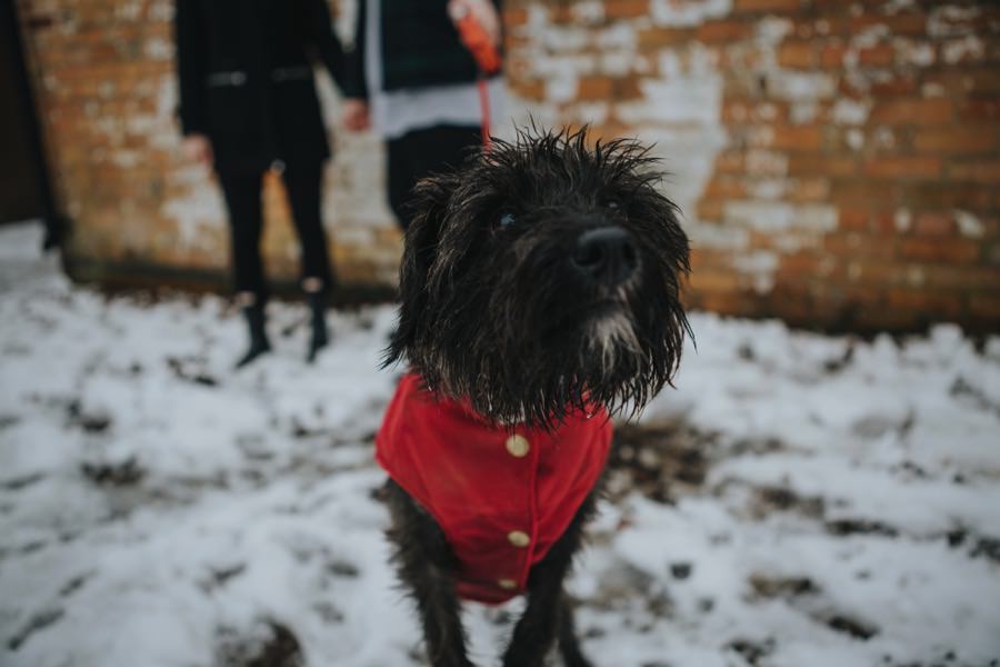 Emma & Kyle | Clumber Park Engagement shoot 3
