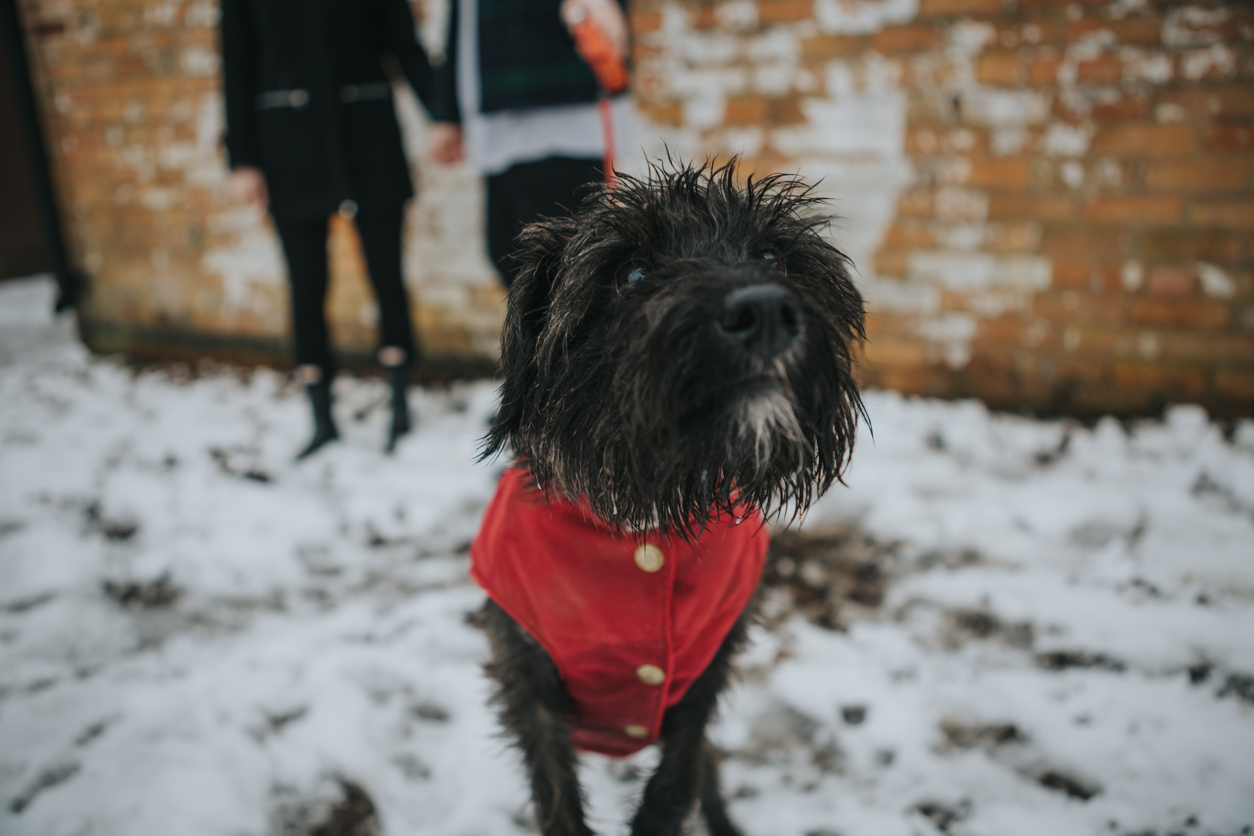 Emma & Kyle | Clumber Park Engagement shoot 32